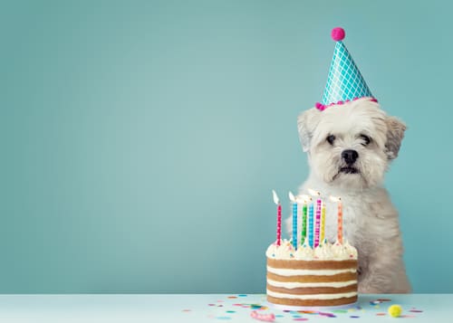 Birthday Blues