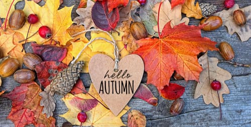 First Day of Fall